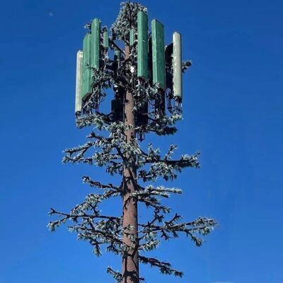 Diseño modular de la Torre Biónica de Árboles con especies de árboles personalizables y montajes de antena de soporte de altura Gestión de cables y cosechadoras de energía renovable
