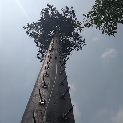 18 27 torre camuflada de las telecomunicaciones de la palmera 35Meter para el paisaje del hotel turístico