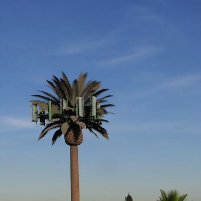 10 20 30 M Árbol de palma Árbol falso Torre celular Telecomunicaciones camufladas 5-80M