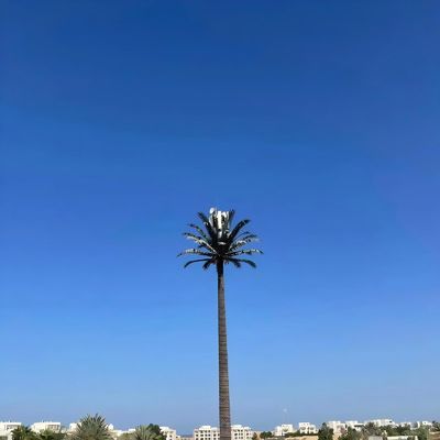 Torre celular camuflada biónica GSM Antena monopólio de acero Torre de telecomunicaciones Galvanización