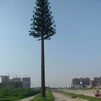 Acero galvanizado Camuflaje biónico de tubo único 5g Torres Árbol de coco Telecom Palm Tree Pine Tree
