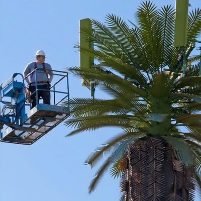 GSM galvanizado móvil biónico de palma de la torre de la antena de un solo polo 5g torre de camuflaje