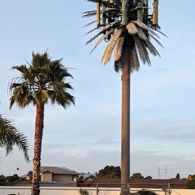 10 20 30 M Árbol de palma Árbol falso Torre celular Telecomunicaciones camufladas 5-80M