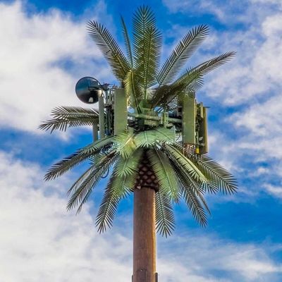 Palma de árbol falso Torre celular de árbol camuflada Telecomunicaciones 5-80M