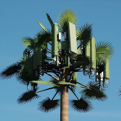 Palma de árbol falso Torre celular de árbol camuflada Telecomunicaciones 5-80M