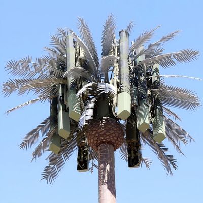 Palma de árbol falso Torre celular de árbol camuflada Telecomunicaciones 5-80M