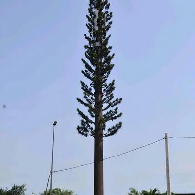 Hot Dip Galvanized Artificial Tree Desert Gobi Bionic Populus Euphratica Anti-Sand Camouflaged Telecom Tower