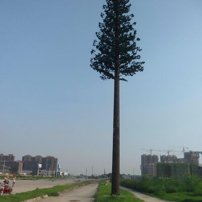 14 20 26M Punto de Interés Biónico Árbol Camuflado Galvanizado Exterior 5G 4G Mástil de Comunicación por Microondas
