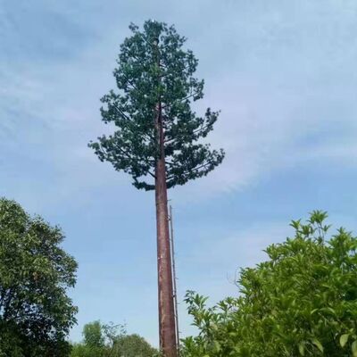 Torre biónica de árbol de 20M diseñada para una integración perfecta en paisajes con apariencia de árbol y construcción modular