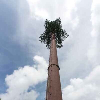 36M Torre de árboles biónicos con troncos artificiales de fibra de vidrio duraderos ramas y hojas con plataformas ocultas para antenas 5G y sensores ambientales