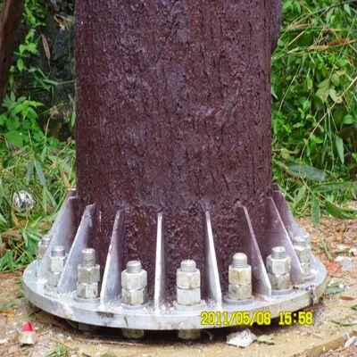 Torre de árboles biónicos con gestión integrada de cables y plataformas ocultas para soportar equipos de microondas de telecomunicaciones y monitoreo ambiental