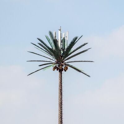 Torre Biónica de Árbol con apariencia arbórea que presenta ramas y troncos de fibra de vidrio para una integración paisajística perfecta
