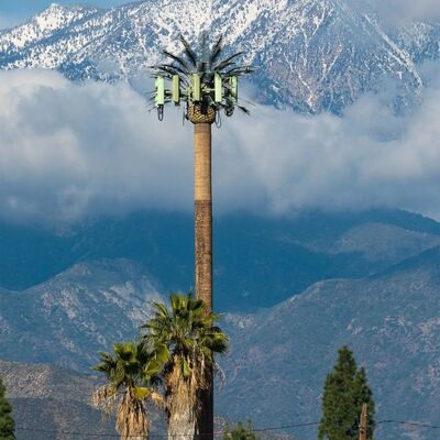 Bionic Tree Tower componentes modulares personalizables para la altura y las especies de árboles para adaptarse a los diversos requisitos del paisaje