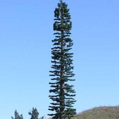 Torre de árbol biónico, torre de árbol artificial, resistencia al impacto KV 27 julios a varias temperaturas para fiabilidad estructural