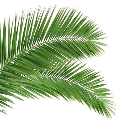 Torre de árbol biónico, torre de árbol artificial con resistencia a la tracción que varía de 360 a 630 Mpa y un alargamiento de hasta el 24 por ciento