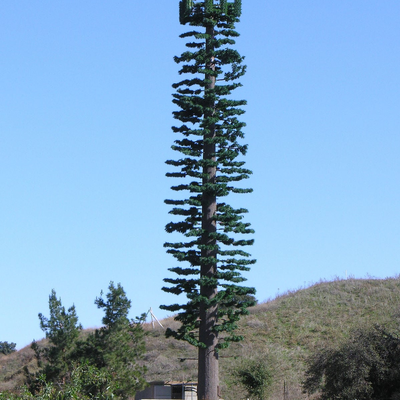 Torre biónica galvanizada de las telecomunicaciones del árbol de la inmersión caliente 22 28 36Meter camuflada para el área escénica turística