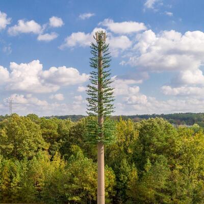 Torre de comunicación de camuflaje de palmera biónica de estilo tropical de 15-45 m para cobertura de señal de centros turísticos costeros Núcleo de acero galvanizado de 30 años y hojas resistentes a los rayos UV