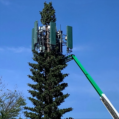 Torre de pino biónico camuflada ecológica para red inalámbrica 5G Integración estética Fábrica de mástil de comunicación de palmera biónica