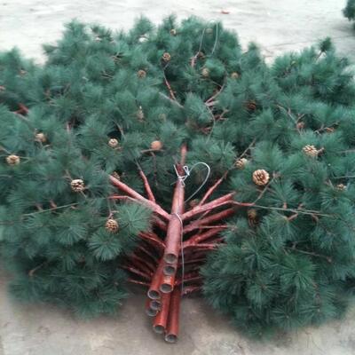 Robusta torre biónica de pino con hojas camufladas y sistema de antena oculta para zonas paisajísticas de red 5G Q345B galvanizada