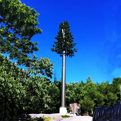 15m 25m 32m Artificial Pine Tree Camouflaged Monopole Bionic Antenna Telecom Tower for Environmental Landscape Communication Site