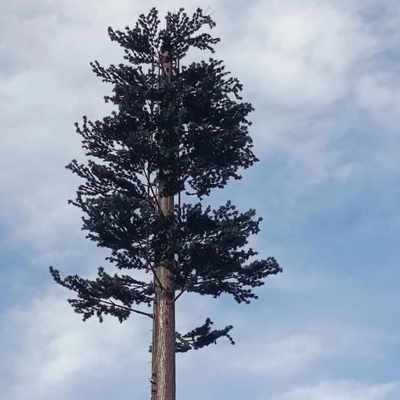 5 10 15 20 25 30 35 40 45 50 55 60 M Metros Mástil de antena de microondas de radio Telecom Torres de telefonía celular disfrazadas Torre de árbol biónico