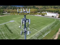 2- La Torre del Monopolio.