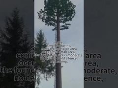 Torre de árboles biónicos